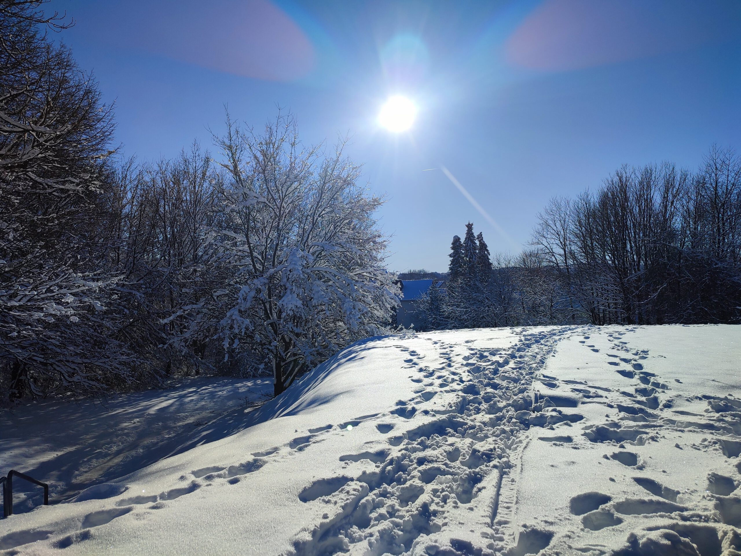 IMG_20250113_124644-min