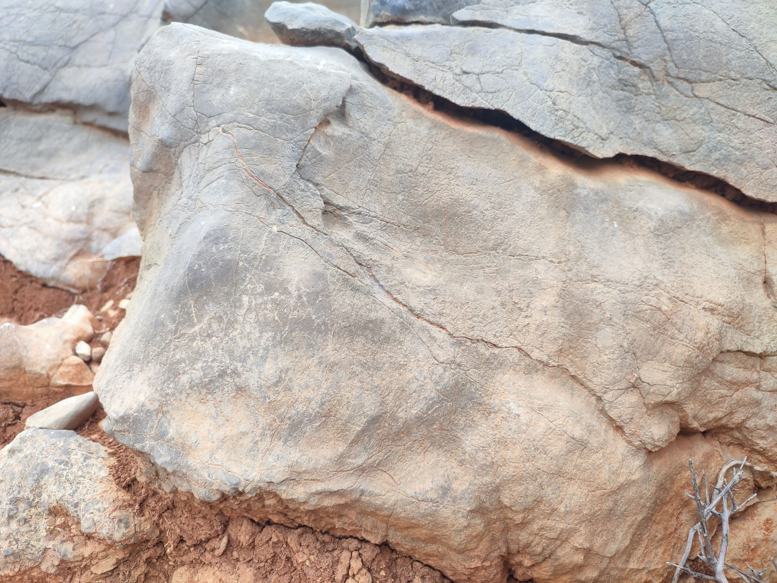 IMG_20250603_173624 - Kopie-min